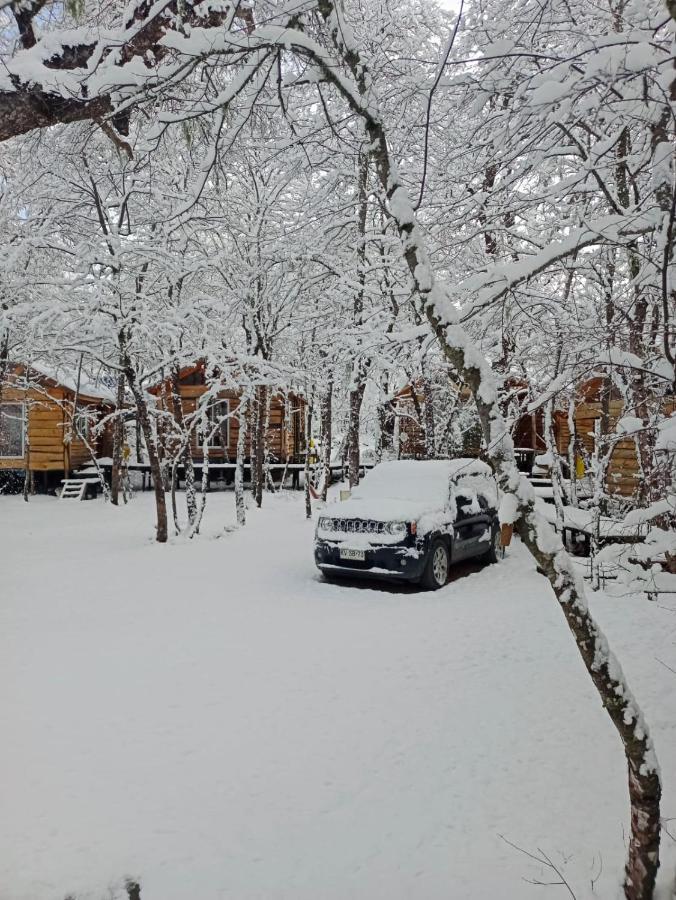 Cabanas Huilipan Las Trancas Εξωτερικό φωτογραφία