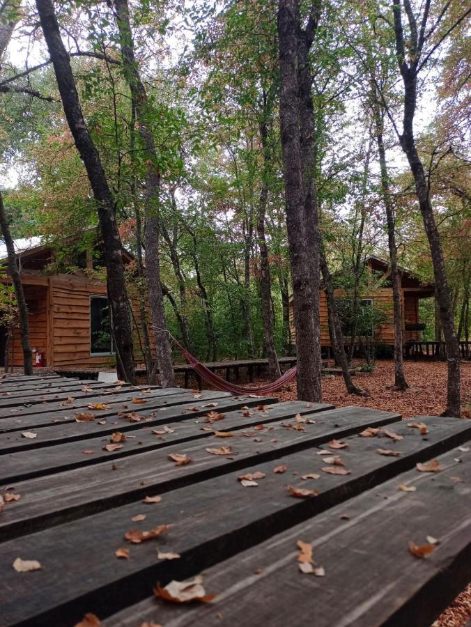 Cabanas Huilipan Las Trancas Εξωτερικό φωτογραφία