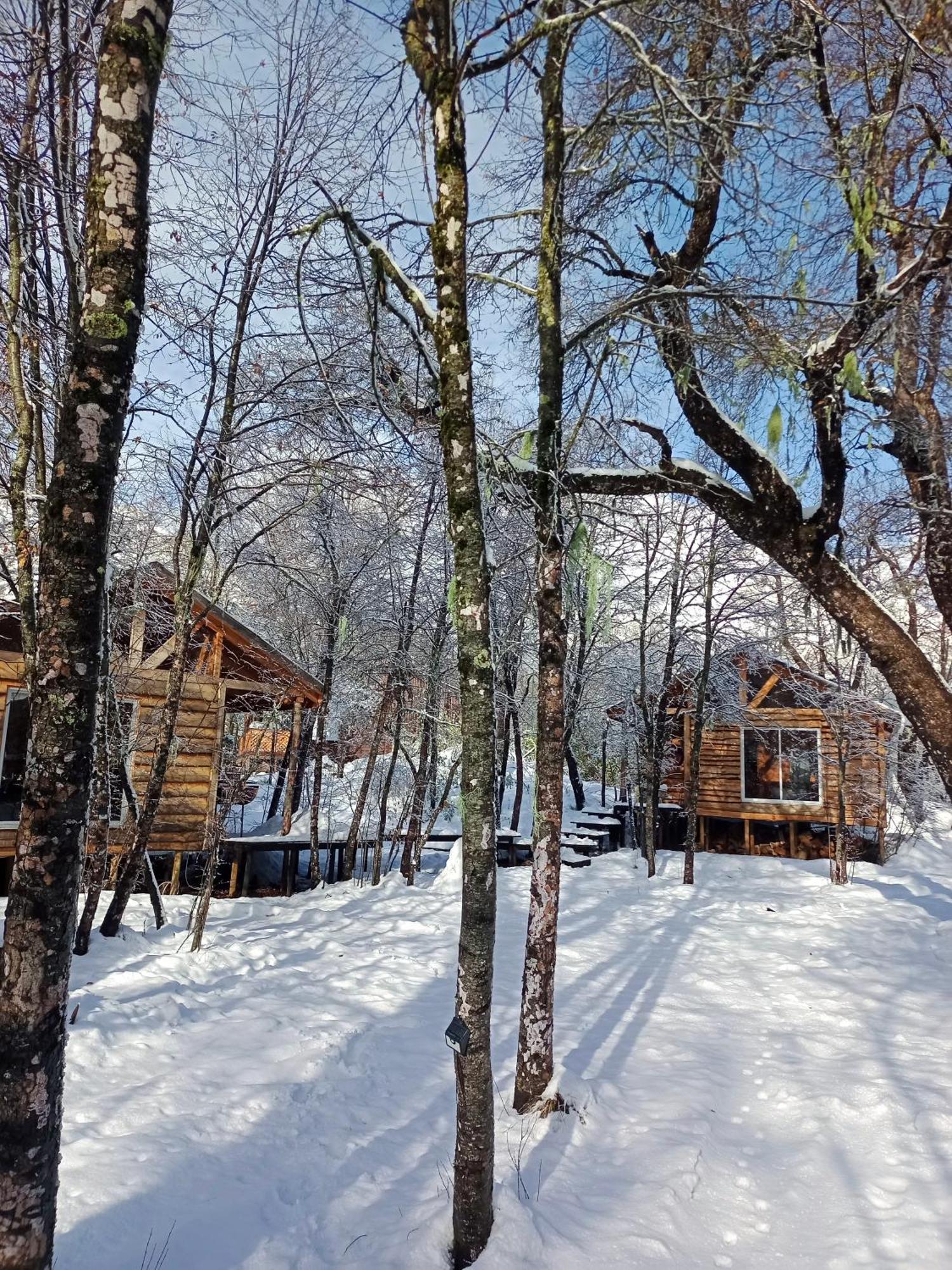 Cabanas Huilipan Las Trancas Εξωτερικό φωτογραφία