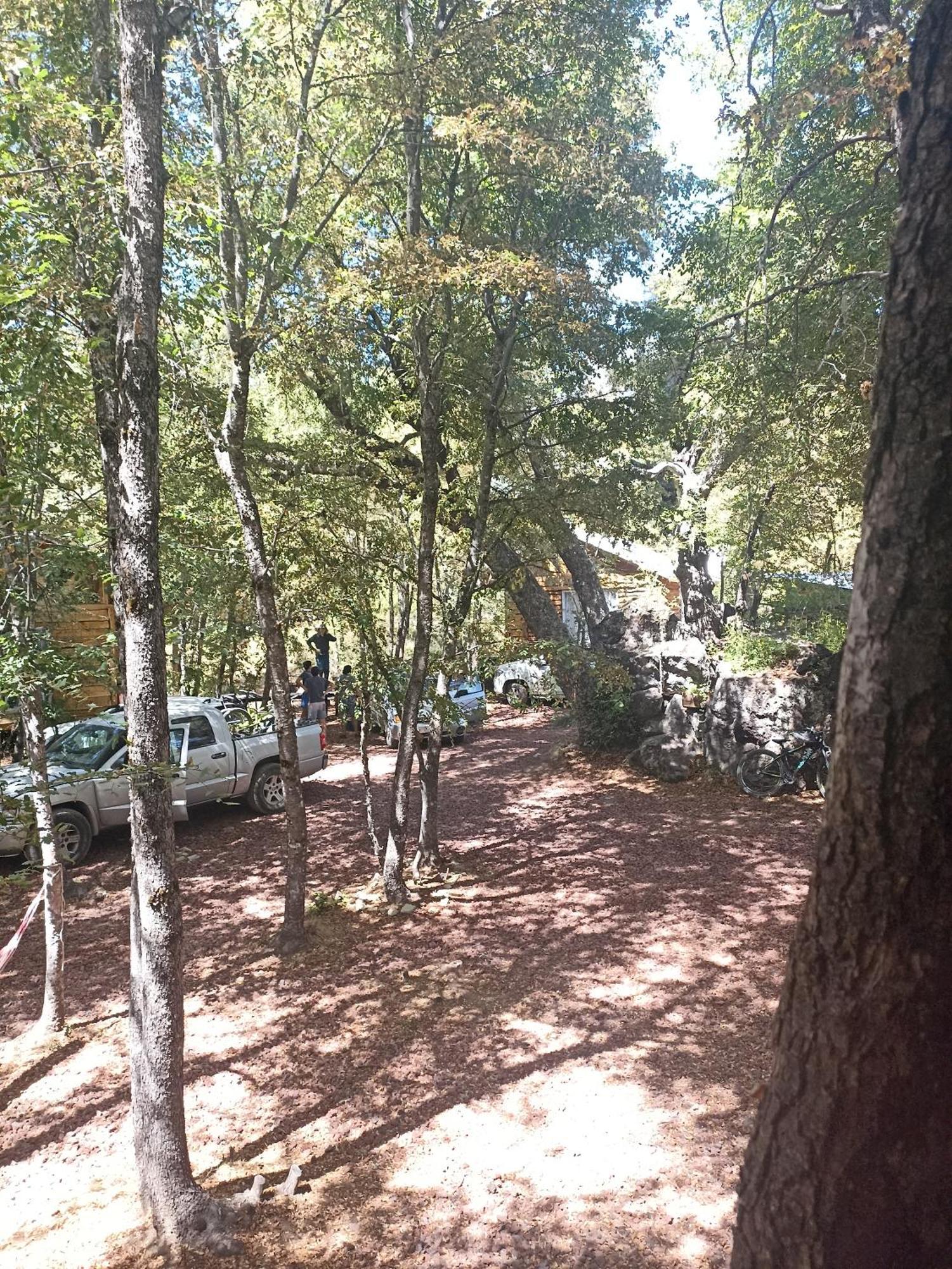 Cabanas Huilipan Las Trancas Εξωτερικό φωτογραφία