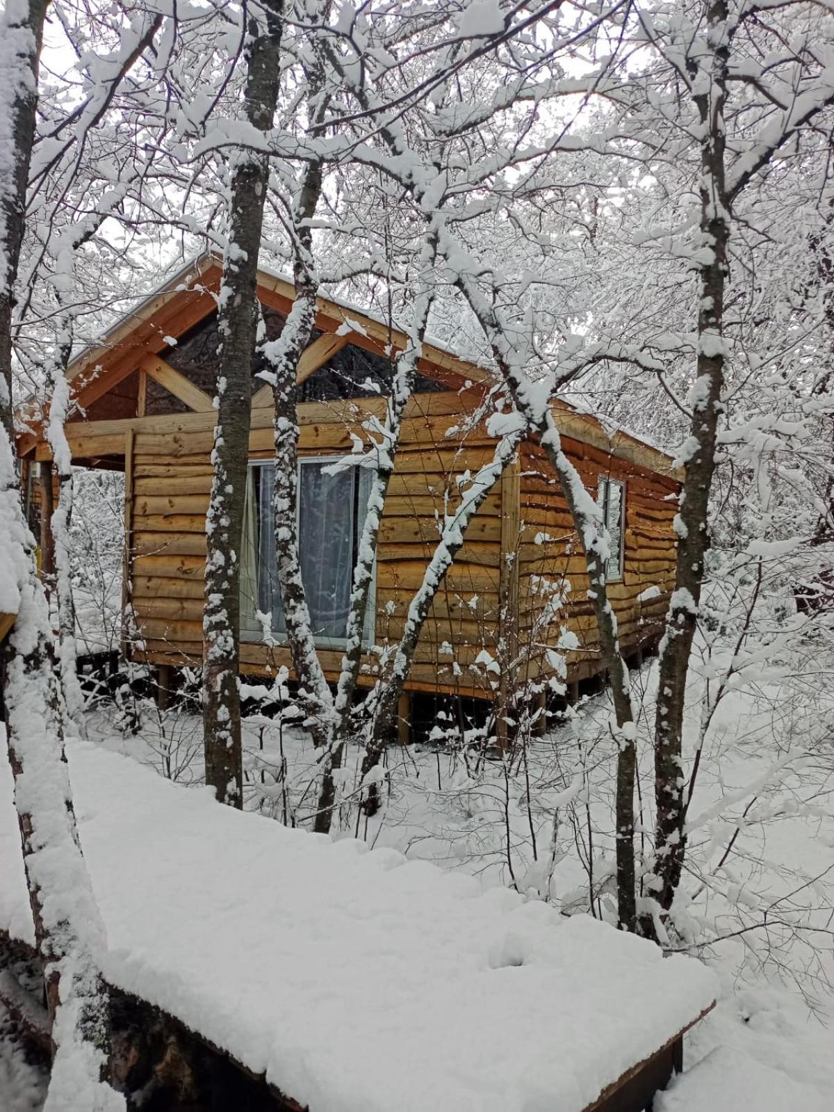 Cabanas Huilipan Las Trancas Εξωτερικό φωτογραφία