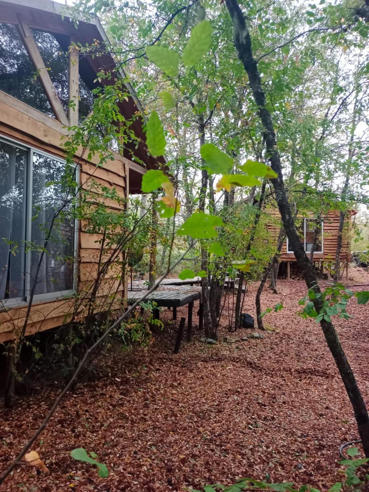 Cabanas Huilipan Las Trancas Εξωτερικό φωτογραφία