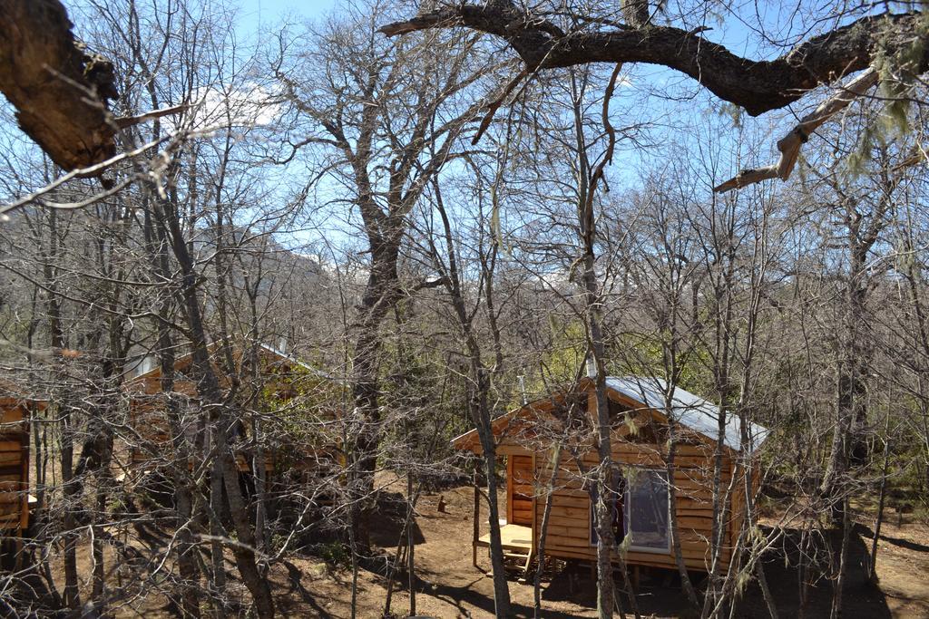 Cabanas Huilipan Las Trancas Εξωτερικό φωτογραφία