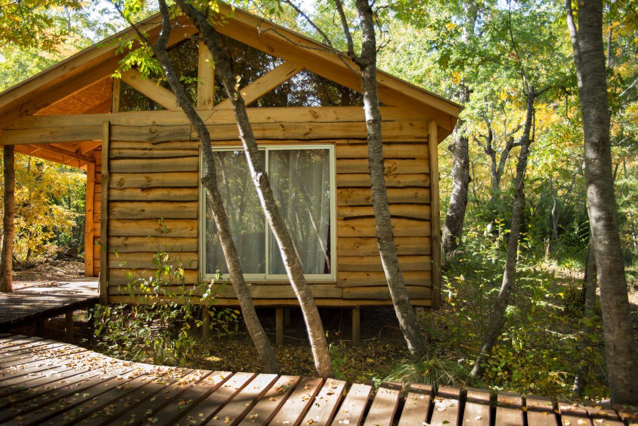 Cabanas Huilipan Las Trancas Εξωτερικό φωτογραφία