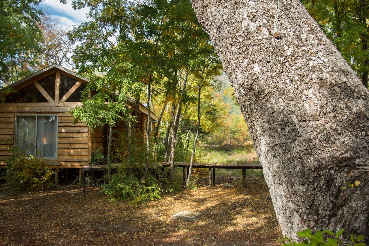 Cabanas Huilipan Las Trancas Εξωτερικό φωτογραφία